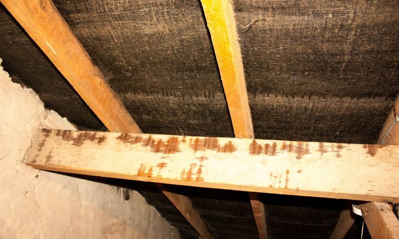Home Restoration in Houston, TX